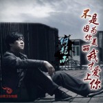 不是因為你美麗我才愛上你(單曲)詳情