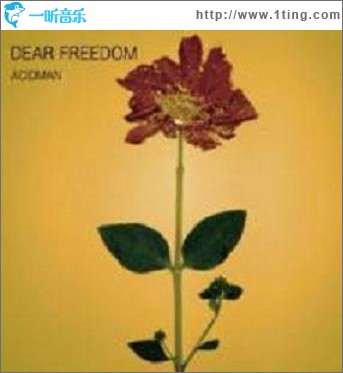 DEAR FREEDOM (Single)