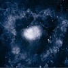Swans No WordsNo Thoughts 試聽
