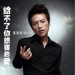 給不了你想要的愛(單曲)詳情