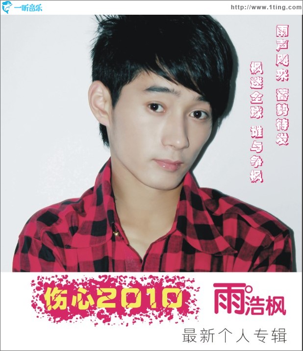 傷心2010