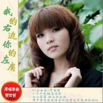 我的右邊你的左肩(單曲)詳情