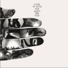 Feist Look At What The Light Did Now (Solo) 試聽