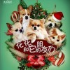 其他 新年汪汪 試聽