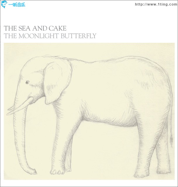 The Moonlight Butterfly