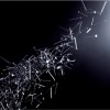 9mm Parabellum Bullet 新しい光 試聽