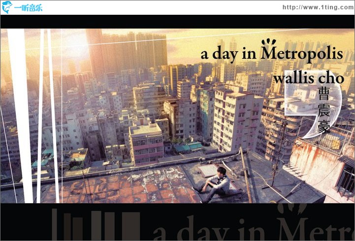 A day in metropolis