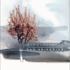 Dan Krikorian Wait 試聽