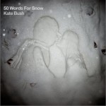 50 Words For Snow詳情