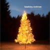 Hawksley Workman Claire Fontaine 試聽
