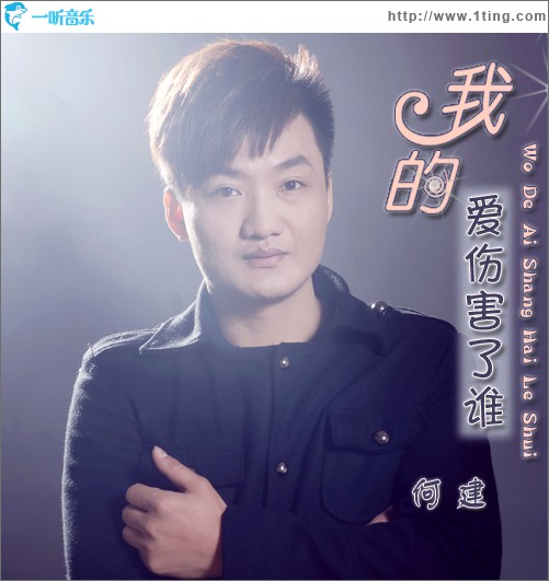 我的愛傷害了誰(單曲)