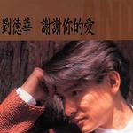謝謝你的愛