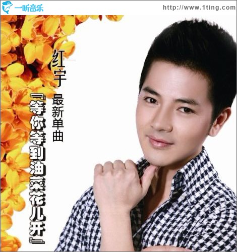 等你等到油菜花兒開(單曲)