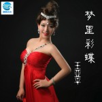 夢里彩蝶詳情