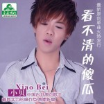 看不清的傻瓜(單曲)
