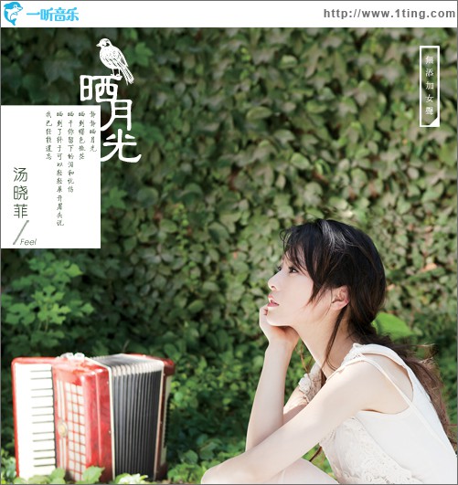 曬月光(單曲)