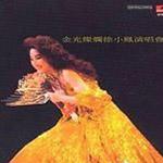 金光燦爛徐小鳳演唱會'89(環球復黑王)