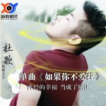 如果你不愛我(單曲)詳情
