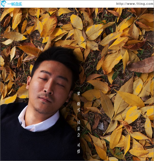 只是會可惜(單曲)