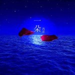 一朵詳情