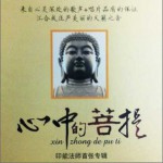 心中的菩提詳情