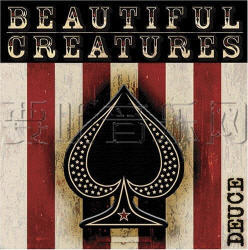 Beautiful Creatures