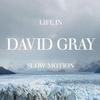 David Gray Slow Motion 試聽