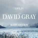 Life in Slow Motion詳情