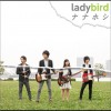 ナナホシ ladybird 試聽