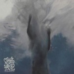海龜先生詳情