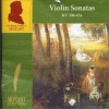 古典音樂 Sonate pour violon en ré majeur, KV. 306 - 1. Allegro con spirito 試聽