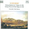 古典音樂 Schubert - Streichquintett C-Dur Op.163, D.956 - I. Allegro ma non troppo (8.... 試聽