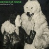 British Sea Power Machineries of Joy 試聽