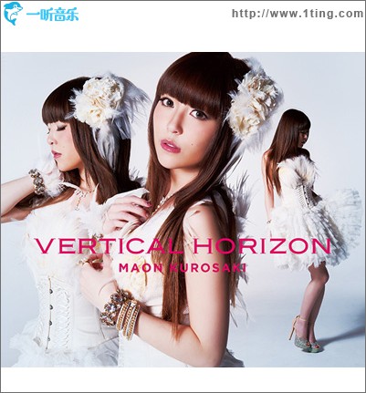 VERTICAL HORIZON