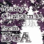 Merry Christmas From BoA