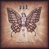 P.O.D. Wildfire (Album Version) 試聽