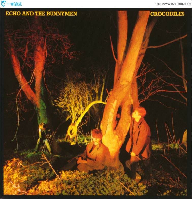 Crocodiles
