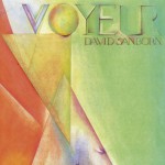 Voyeur詳情