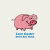 Guster Amsterdam (Acoustic Version) 試聽