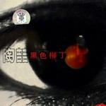 黑色柳丁