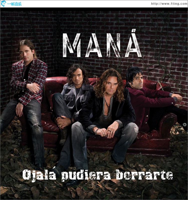 Ojala Pudiera Borrarte