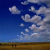 Muse Butterflies and Hurricanes [Remix With Additional Guitars Full Length Version] 試聽