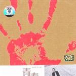 青春 (麥田音樂新紅白藍系列)