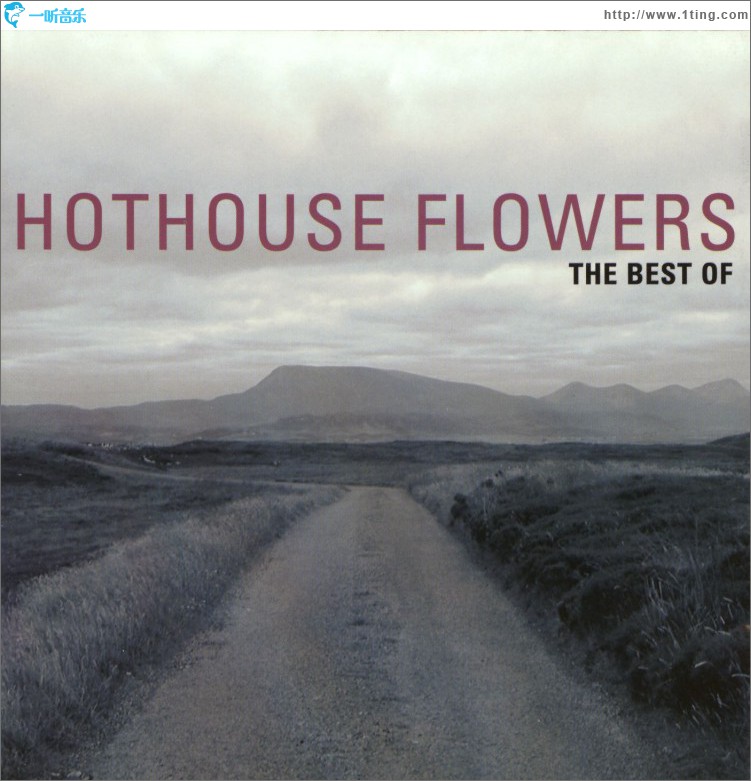 专辑封面thebestofhothouseflowers