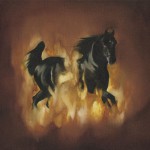 The Besnard Lakes Are The Dark Horse詳情