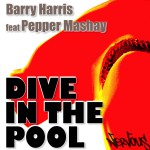 Dive In The Pool 2008詳情