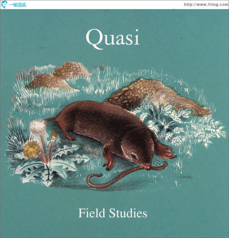 Field Studies