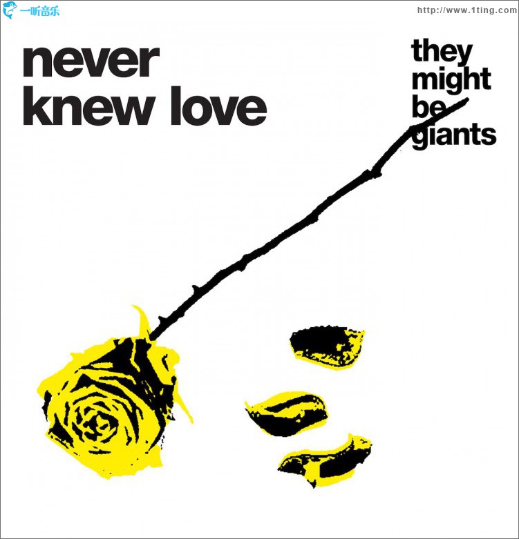 Never Knew Love