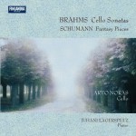 Brahms : Cello Sonatas - Schumann : Fantasy Pieces詳情