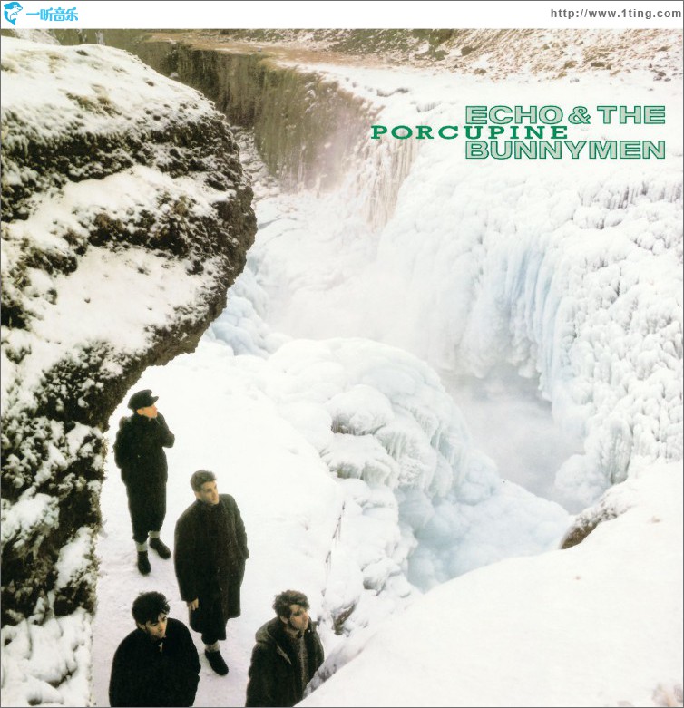 Porcupine (US Release)